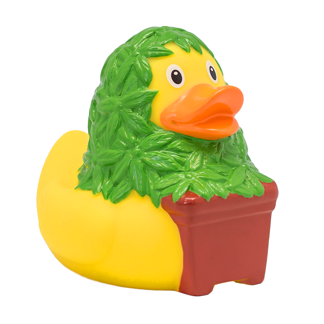 Cannabis duck