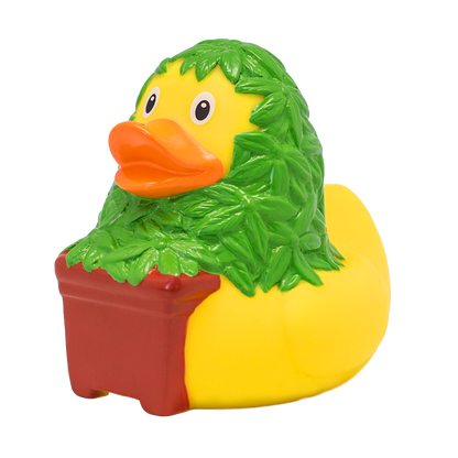 Canard Cannabis