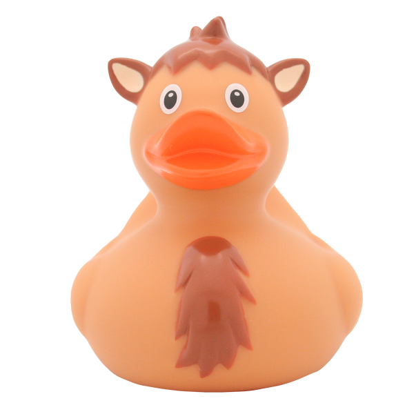 Camel duck