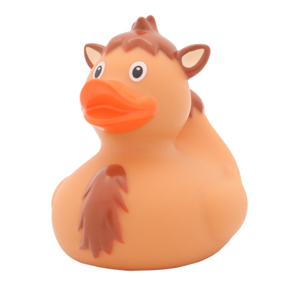 Camel duck