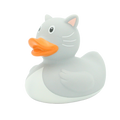 Gatto anatra