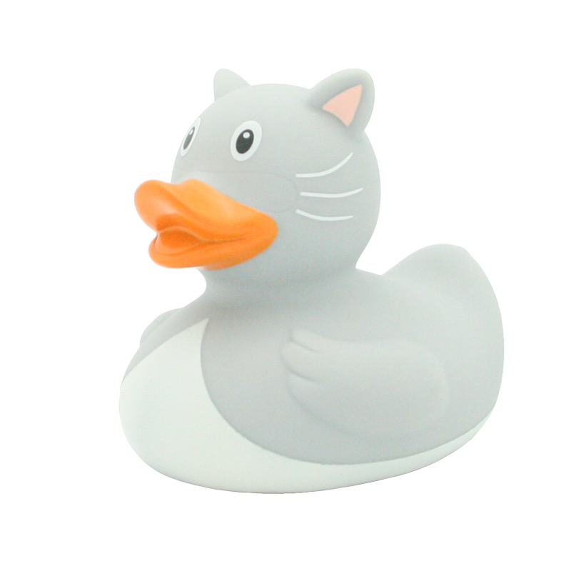 Gatto anatra
