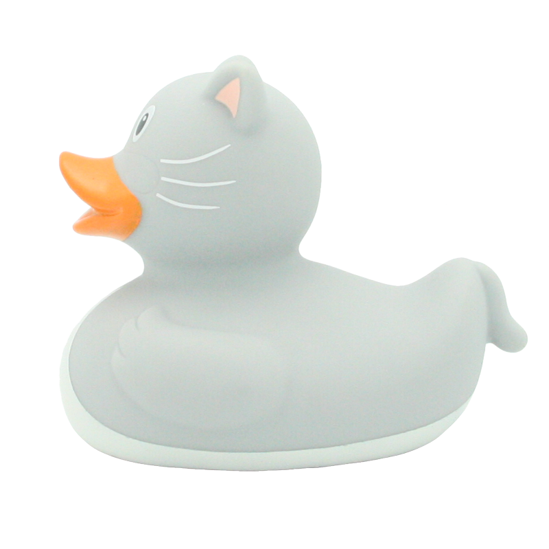 Chat duck