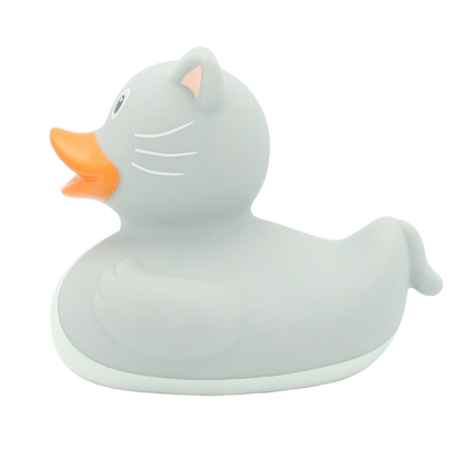 Chat duck