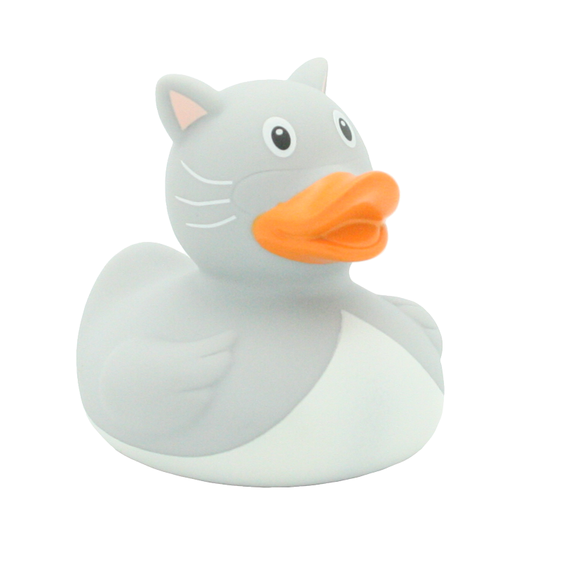 Gatto anatra