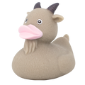 Canard Chèvre