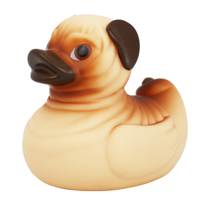 Duck dog