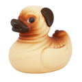 Canard Chien Carlin Lilalu