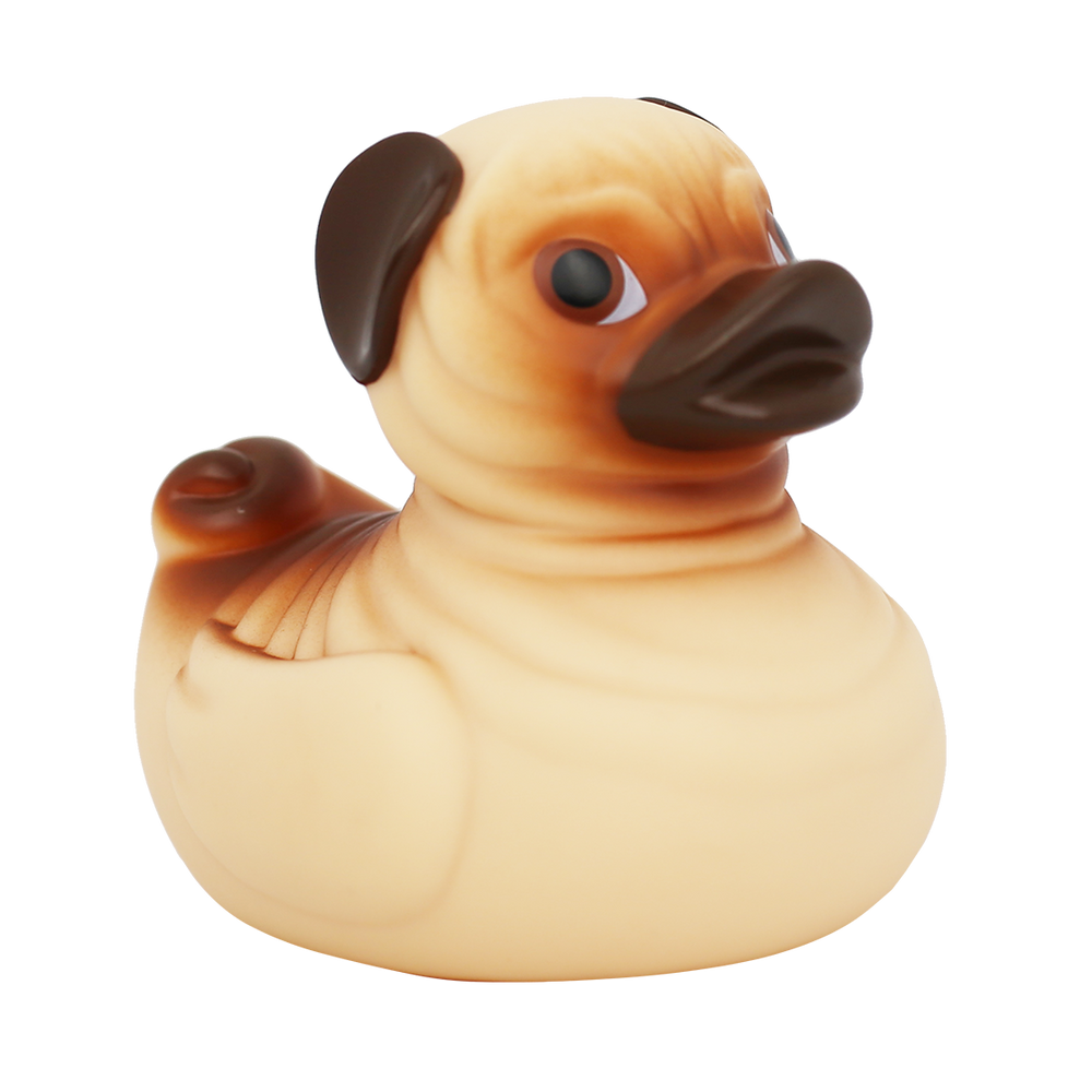 Canard Chien Carlin Lilalu