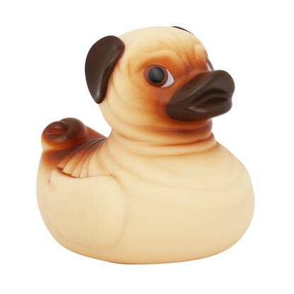 Duck dog