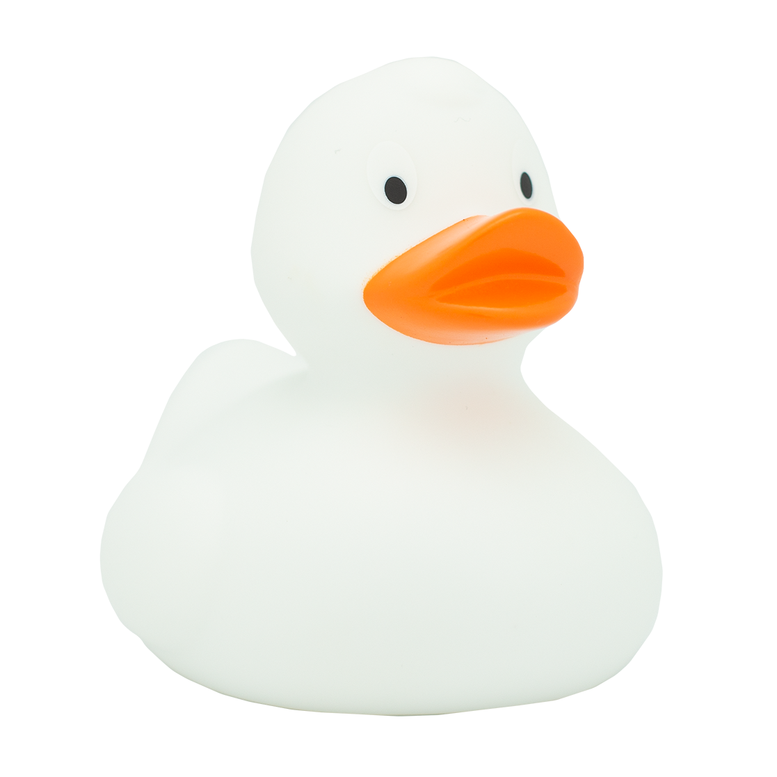 Classic white duck