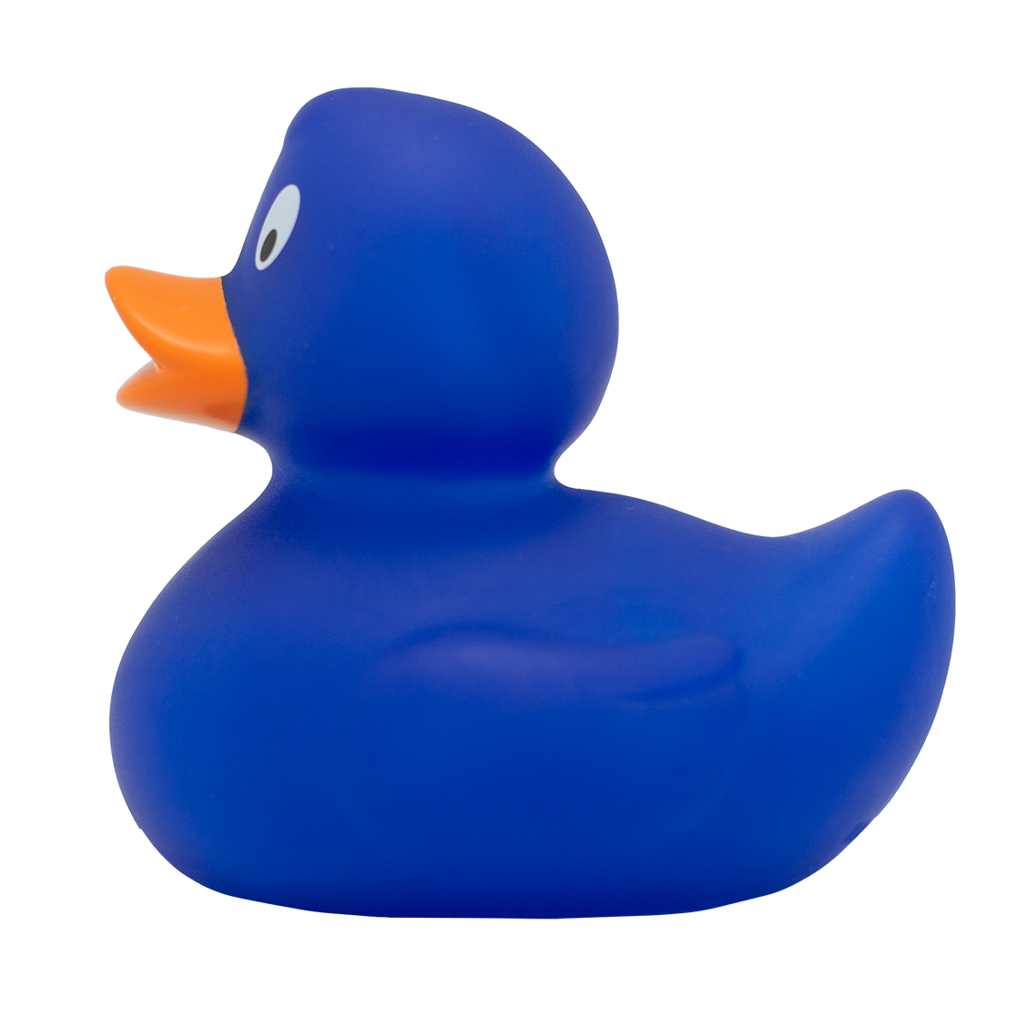 Classic blue duck