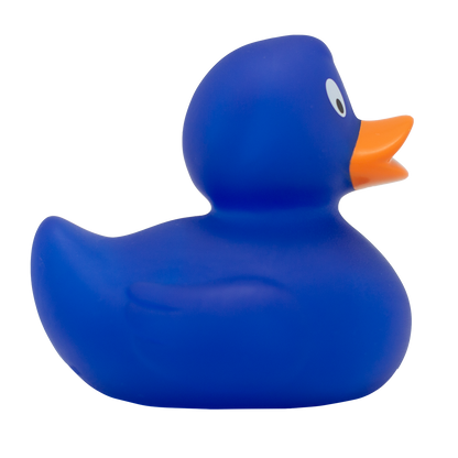 Classic blue duck