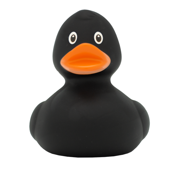 Classic black duck