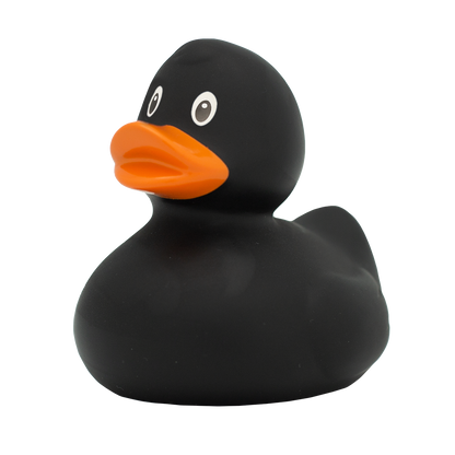 Canard Noir Lilalu - composant du pack