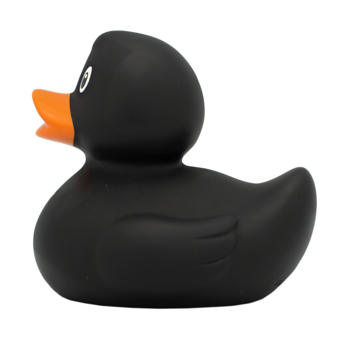 Classic black duck