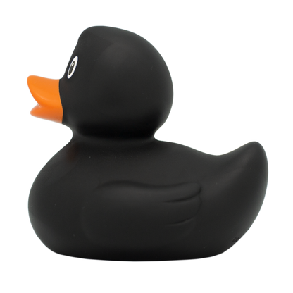 Classic black duck