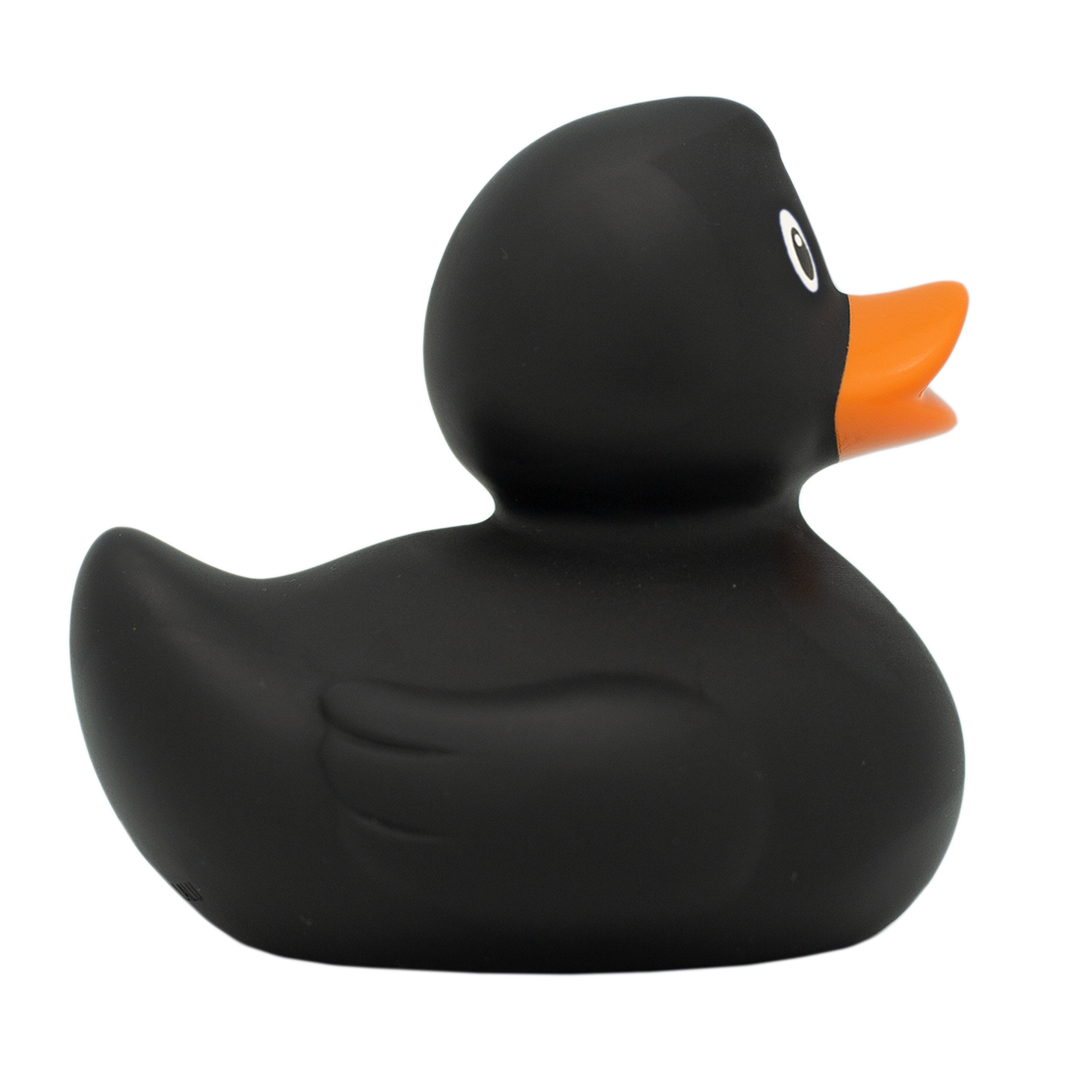 Classic black duck