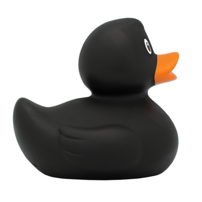 Classic black duck