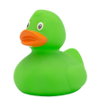Canard Classique Vert