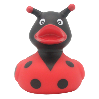 Canard Coccinelle