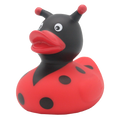 Ladybug