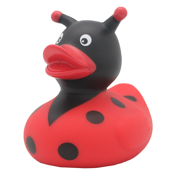 Ladybug