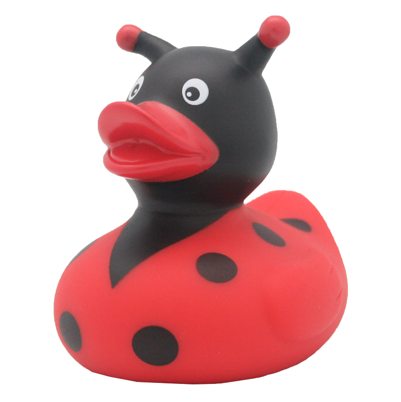 Canard Coccinelle