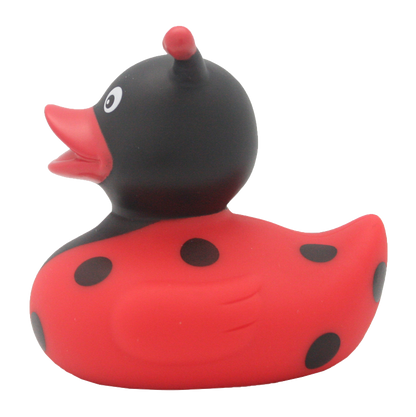 Canard Coccinelle