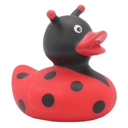 Canard Coccinelle