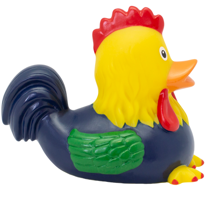 Canard Coq