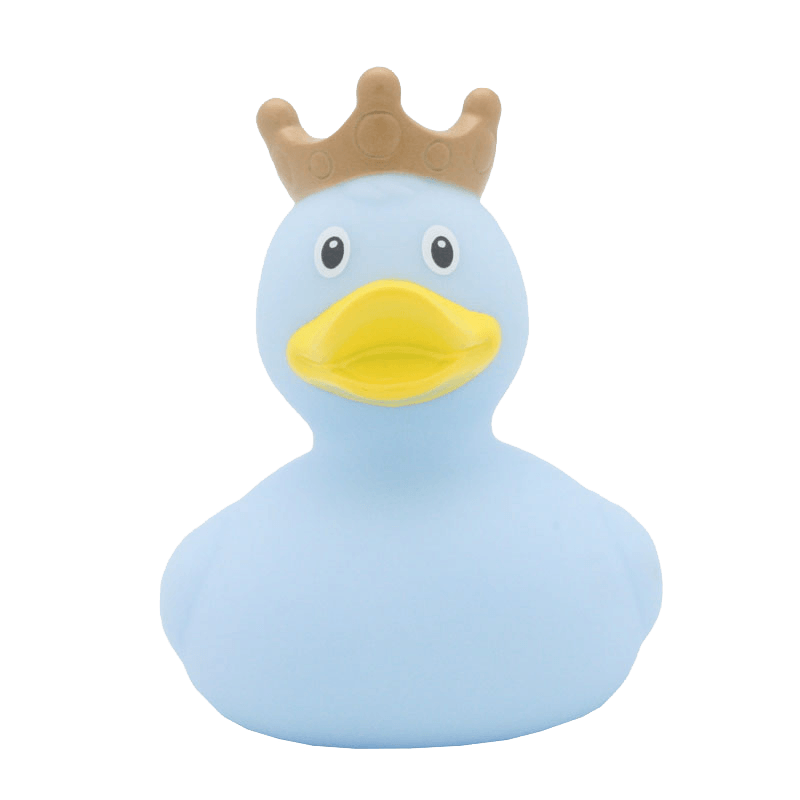 Crown blue duck