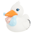 Ente Storch