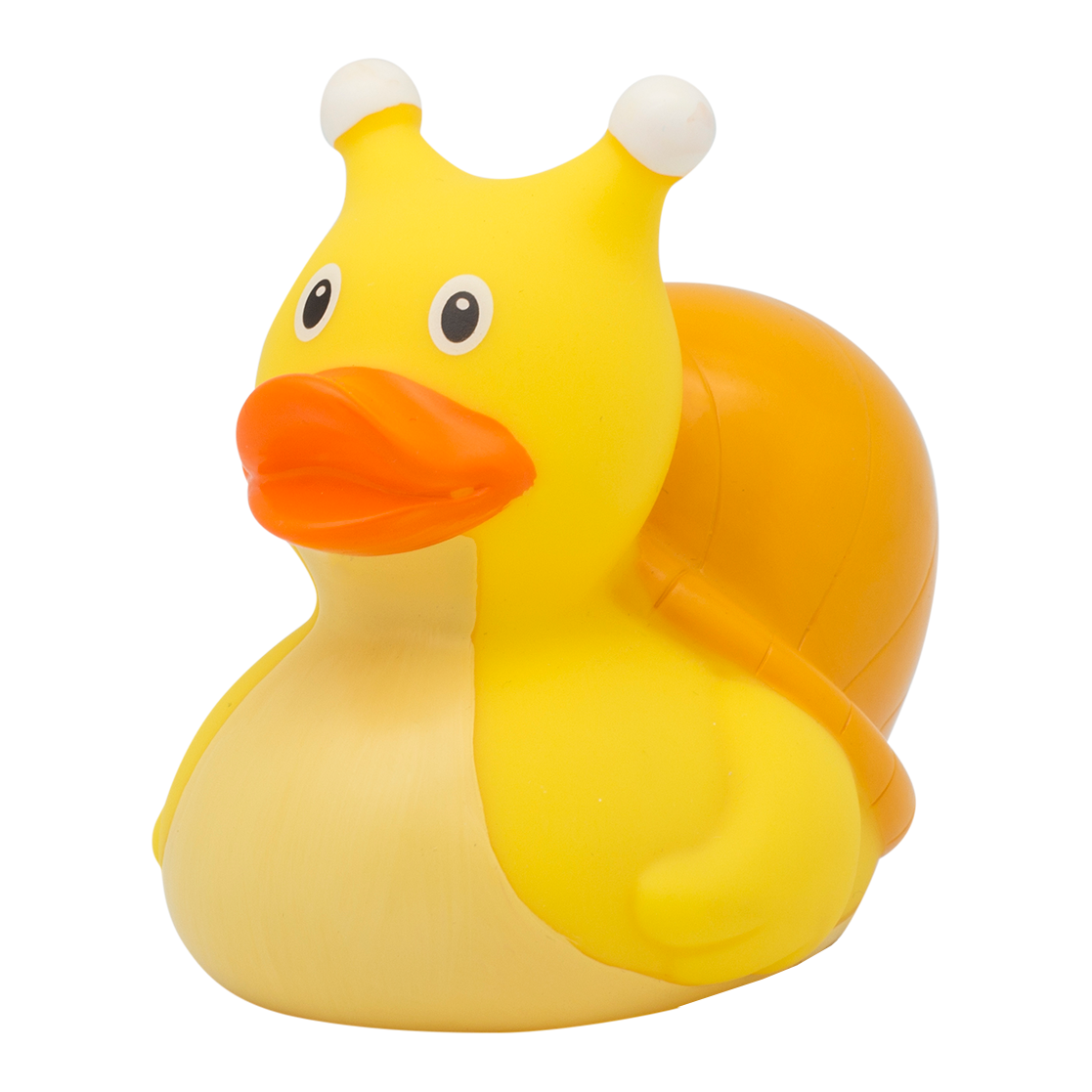 Snail duck