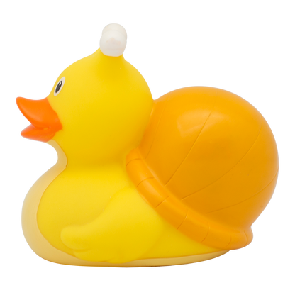 Snail duck