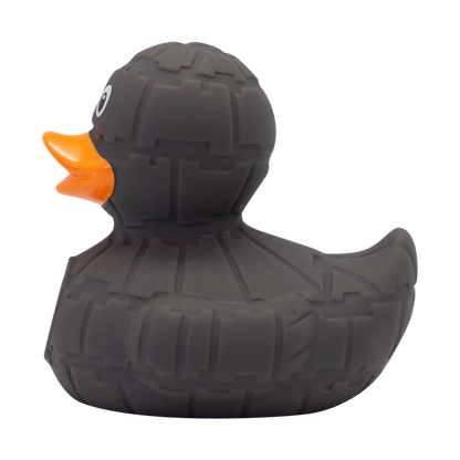 Black Star Duck