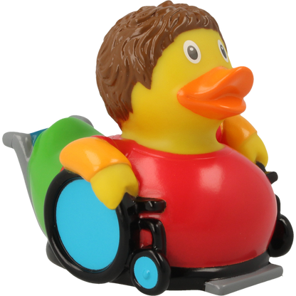 Canard Fauteuil Roulant