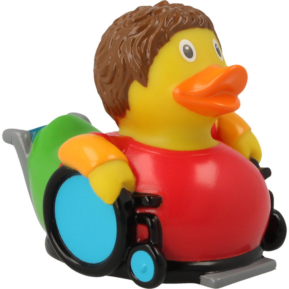 Ente Fauteuil Roulant