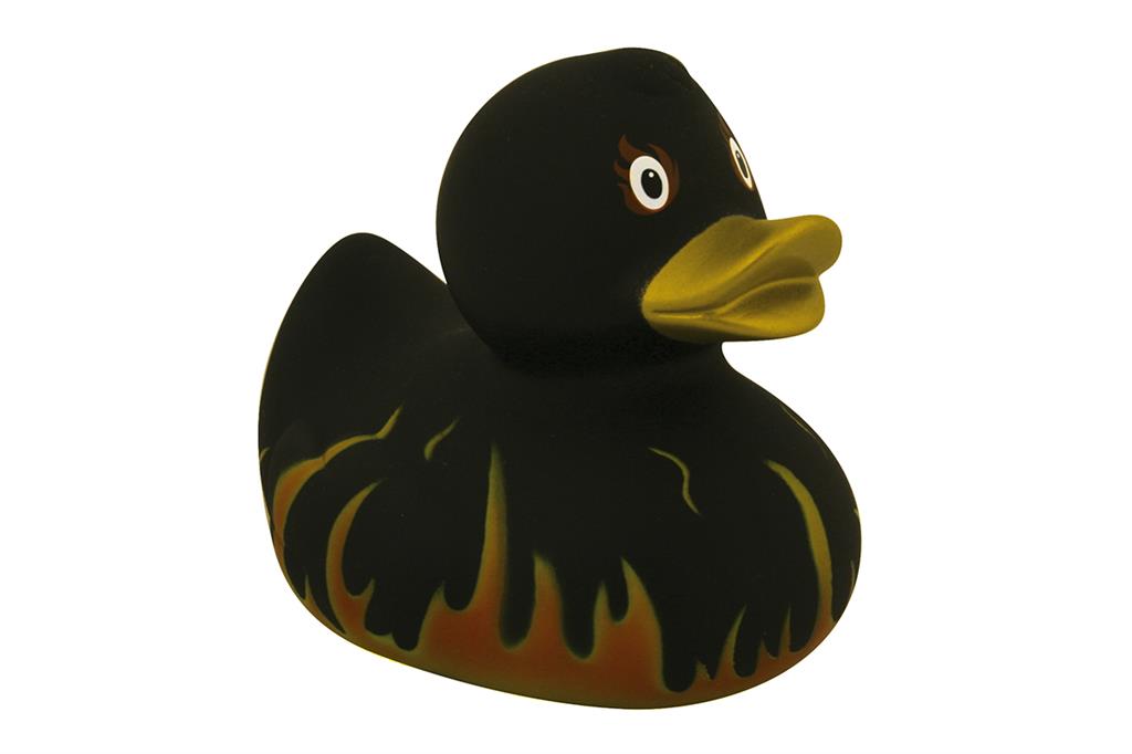 Canard Flammes