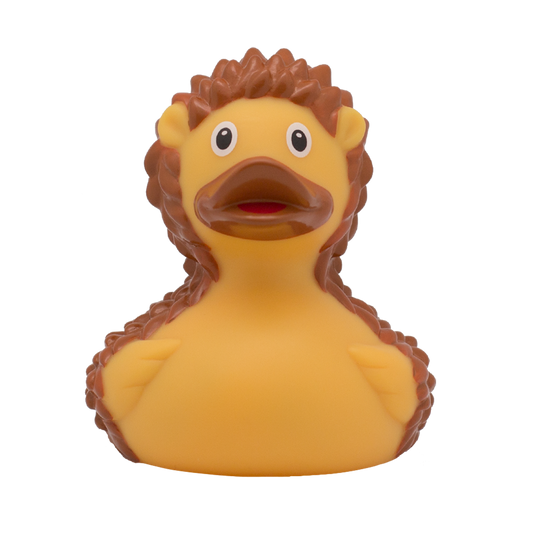 Hedgehog duck