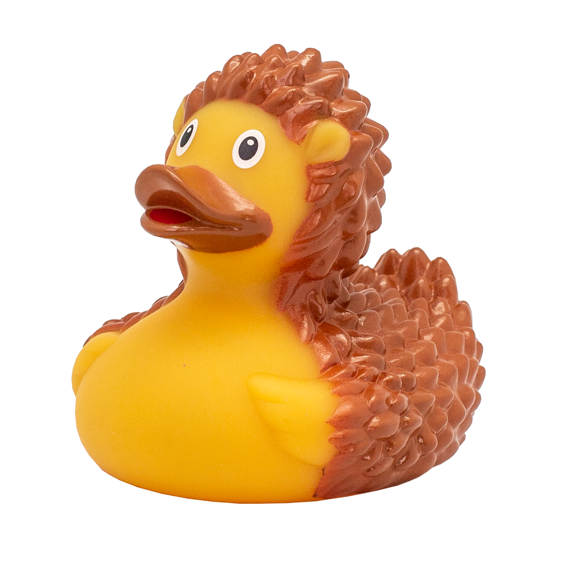 Hedgehog duck