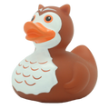 Canard Hibou