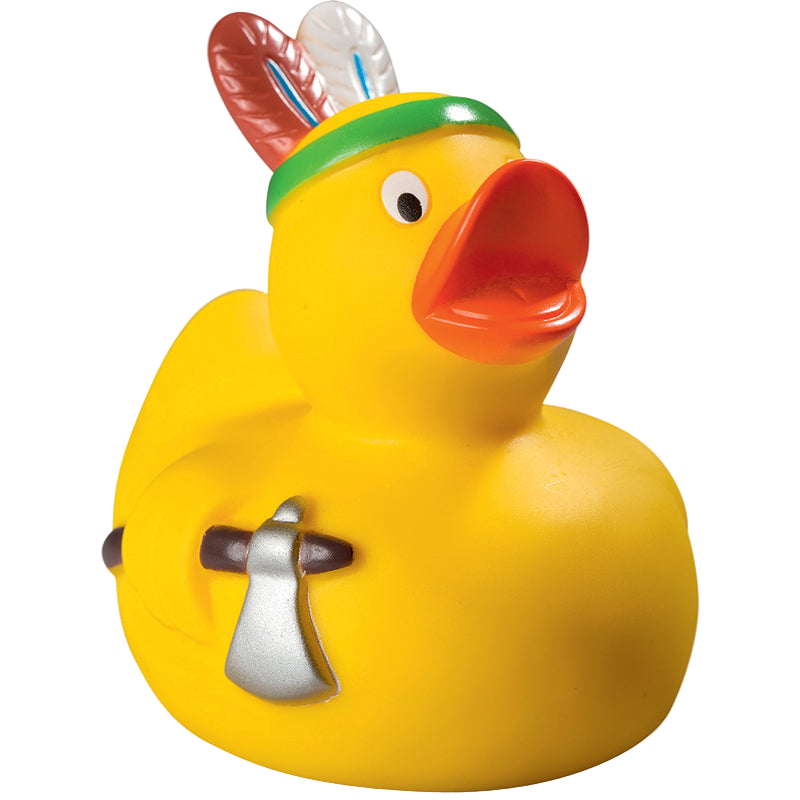 Indian duck