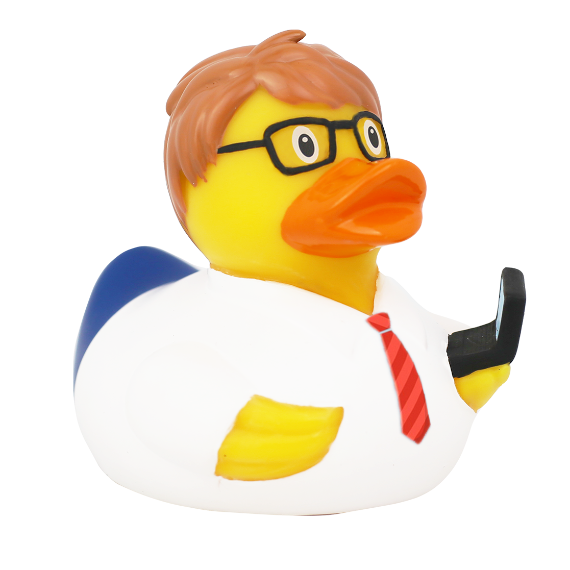 Duck computer engineer