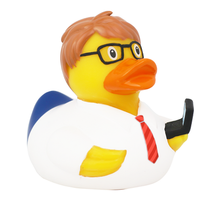 Duck computer engineer