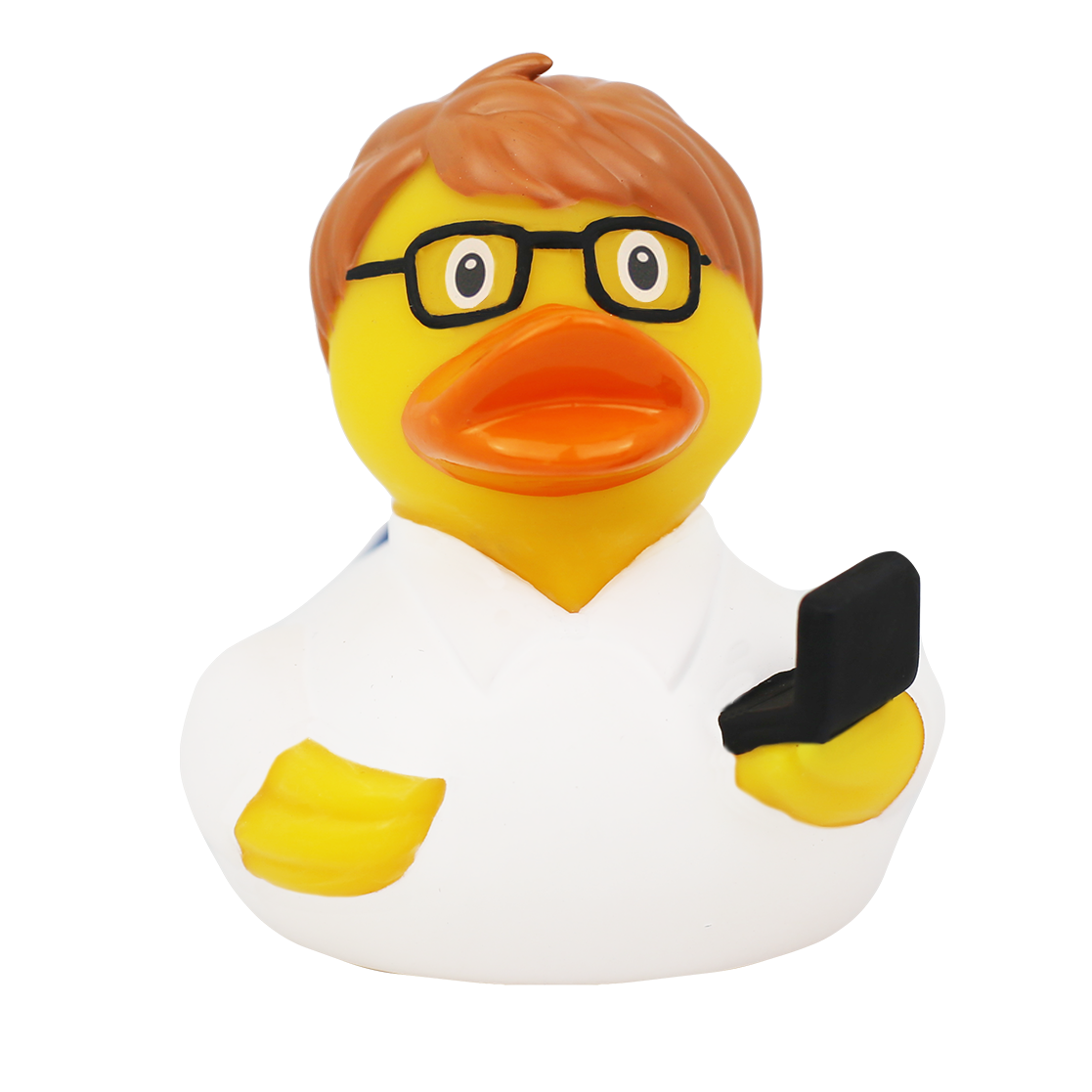 Duck computer engineer