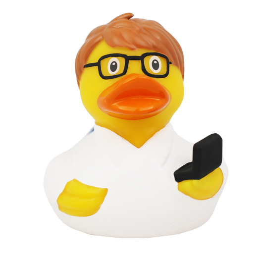 Duck computer engineer