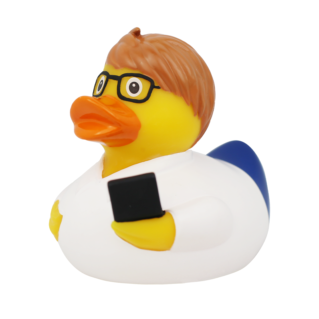 Duck computer engineer