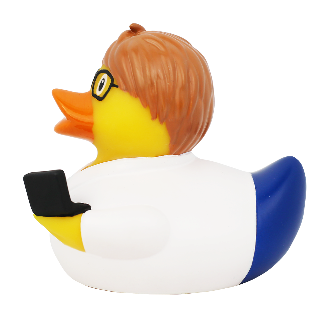 Duck computer engineer