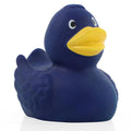 Paperella di gomma blu